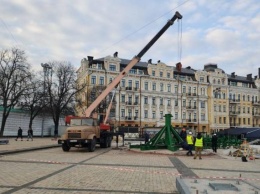 В Киеве начали устанавливать главную новогоднюю елку