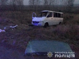 В ДТП в Житомирской области пострадали 7 криворожан, - свидетели