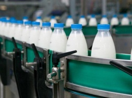 Молоко за вредность: на Днепропетровщине молокозавод загрязняет окружающую территорию