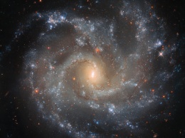 Фото дня: обитель сверхновых звезд