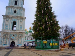 На Софийской площади в Киеве установили главную елку страны: фото новогодней красавицы