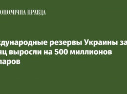Международные резервы Украины за месяц выросли на 500 миллионов долларов