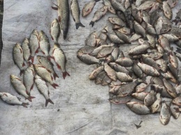 Запорожская рыбоохрана продолжает ловить браконьеров