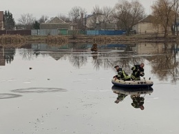 Из озера под Киевом спасли собаку (фото)