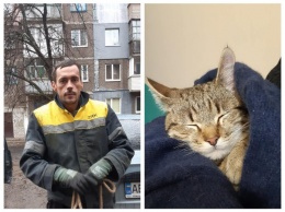 Спасательная операция: в Павлограде сняли с дерева котика (ВИДЕО)