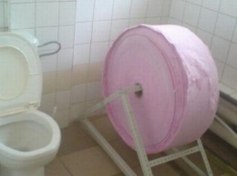 Курьез недели: в Украине нашли поддельную туалетную бумагу
