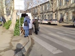 Продавец елок перегородил пешеходный переход (видео, фото)