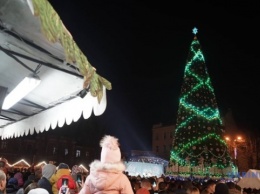 В Черновцах открыли новогоднюю елку, которую "нашли" в центре города