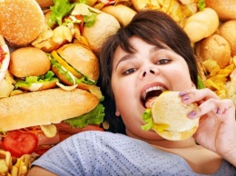 Как жирная пища вредит кишечнику