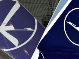 Польская авиакомпания затеяла судебную тяжбу с немецкой из-за логотипа