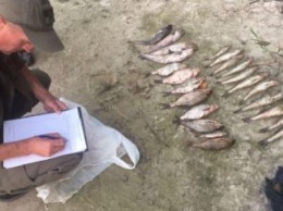 Суд приговорил браконьера к трем годам заключения за незаконный вылов 7 кг рыбы из Киевского водохранилища