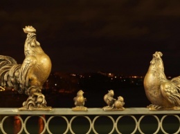 Винницкий «зверинец» на мосту пополнила семья кур