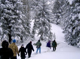 Американский нацпарк предлагает бесплатные экскурсии на снегоступах
