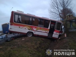 На Волыни столкнулись два автобуса: 8 пострадавших