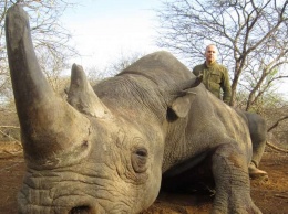 Нестор Шуфрич убивал вымирающих животных в Африке: комментарий нардепа
