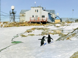 Участники Украинской антарктической экспедиции поздравили земляков с Новым годом