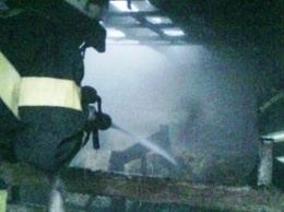 В Великолепетихском районе спасатели ликвидировали пожар в хозпостройке