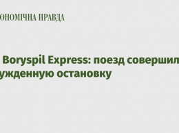 Kyiv Boryspil Express: поезд совершил вынужденную остановку