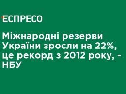 Международные резервы Украины выросли на 22%, это рекорд с 2012 года, - НБУ