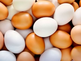 Бюджетные и вкусные рецепты: как приготовить яйца разными способами