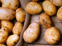 Француз изобрел гаджет, который делает картошку "умной"
