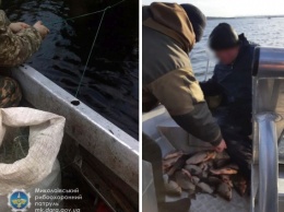Двумя километрами сетей браконьеры перекрыли реки в Николаевской области