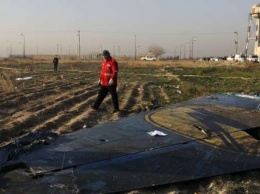 Исламисты взяли на себя ответственность за сбитие самолета МАУ