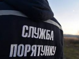 Эхо войны: в Запорожской области опять нашли старые боеприпасы