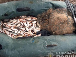 С начала года рыбаки-браконьеры нанесли ущерб государству на полмиллиона гривен