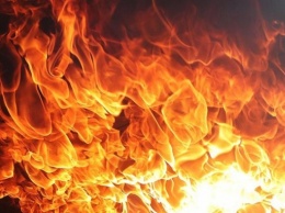 В Житомирской области при пожаре женщина задохнулась дымом