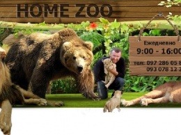 В зоопарк в Запорожской области переехали цирковые львы и поселится их дрессировщик