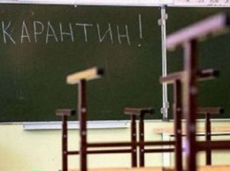 Несколько школ на Кировоградщине "ушли" на внеплановые каникулы