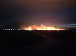 Масштабный пожар в Одесской области - зарево видно за несколько километров