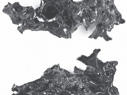 Ученые рассказали о происхождении черной стекловидной массы из останков жертвы извержения Везувия