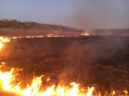 Спасатели Николаевщины за сутки пять раз тушили пожары камыша