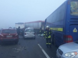 11 автомобилей столкнулись на трассе Одесса-Киев - 1 погибший, двое травмированных