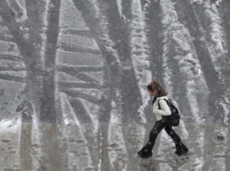 Украину накроют дожди и снег: синоптики дали прогноз на неделю. Карты