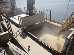 Украина бьет рекорды по экспорту пшеницы