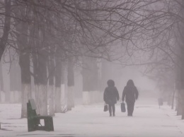 В пятницу Украину накроет сильнейший снежный шторм, а в субботу нагреет до +12