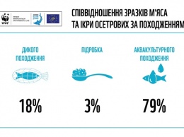 Почти 20% черной икры и осетра в Украине изготовлены нелегально
