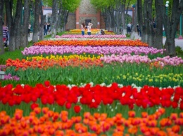Поля цветов, озера, кемпинги, аттракционы - под Киевом создают уникальный дендропарк