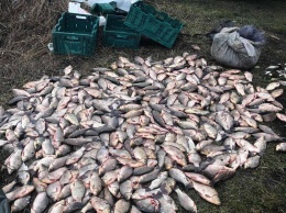 На Днепропетровщине мужчина наловил 70 килограммов рыбы