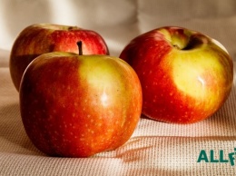 Украинские яблоки едят на Мальдивах