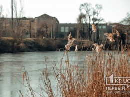 Качество воды в криворожской реке Саксагань не соответствует норме, - чиновники