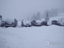 Прикарпатье завалило 1,2 м снега: детали и новые фото и видео "апокалипсиса"