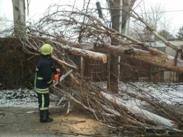 Застрявшие авто, поваленные деревья и десятки спецтехники на дорогах: последствия бушевавшего в Запорожской области циклона, - ФОТО
