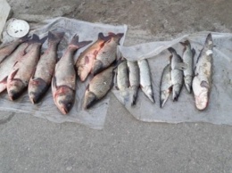 На Харьковщине задержали рыбных браконьеров с сетью и подводным ружьем