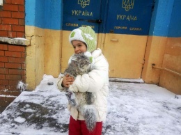 В Синельниково спасатели сняли кота с дерева