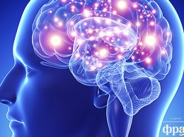 Исследователи рассказали, как затормозить старение мозга