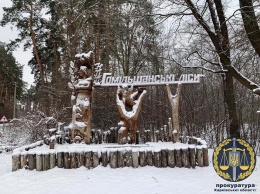 Продавал "частникам" землю природного парка на Харьковщине: экс-чиновника подозревают в злоупотреблении властью